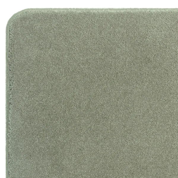 castor-nx-sage castor-nx-sage