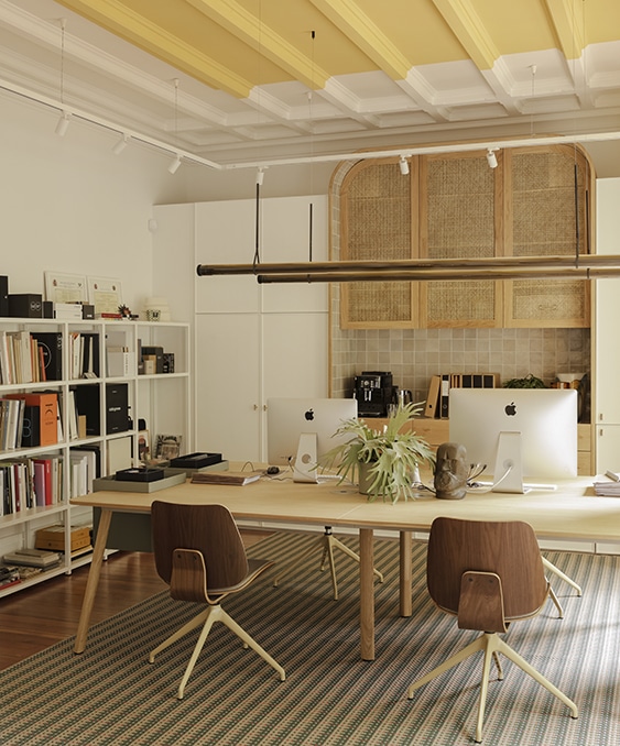 ESTUDIO_003
