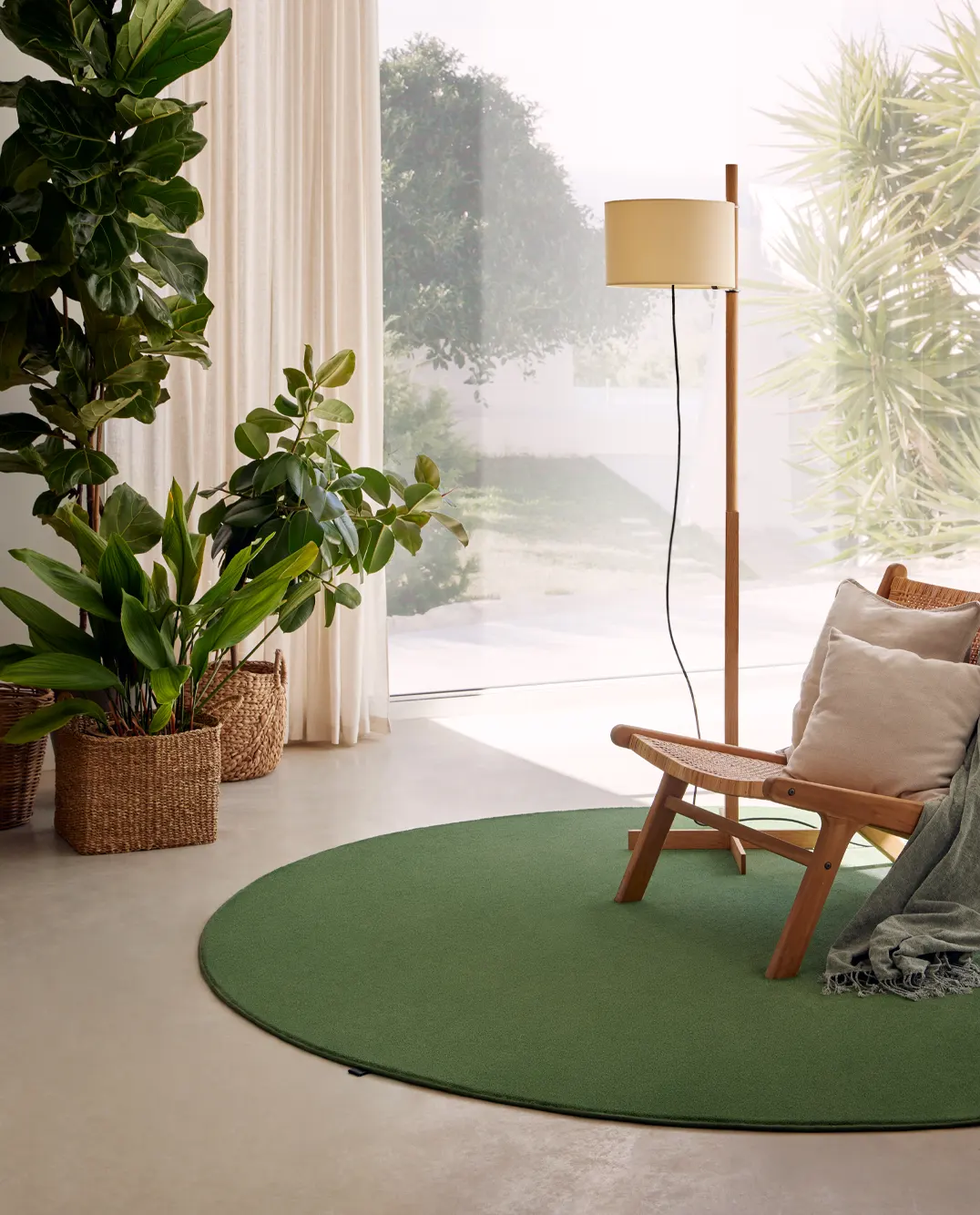 Paradise_Forest_24_02