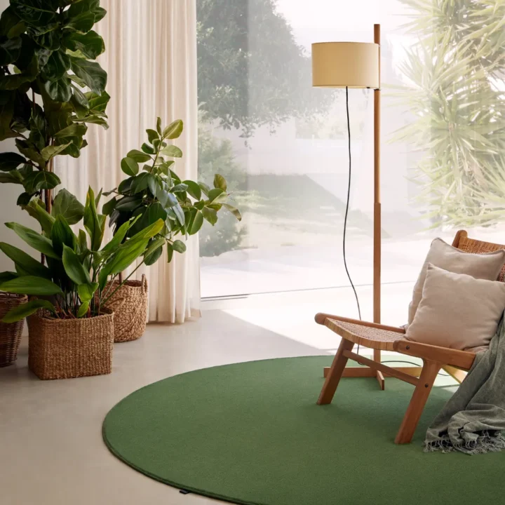 Paradise_Forest_24_02
