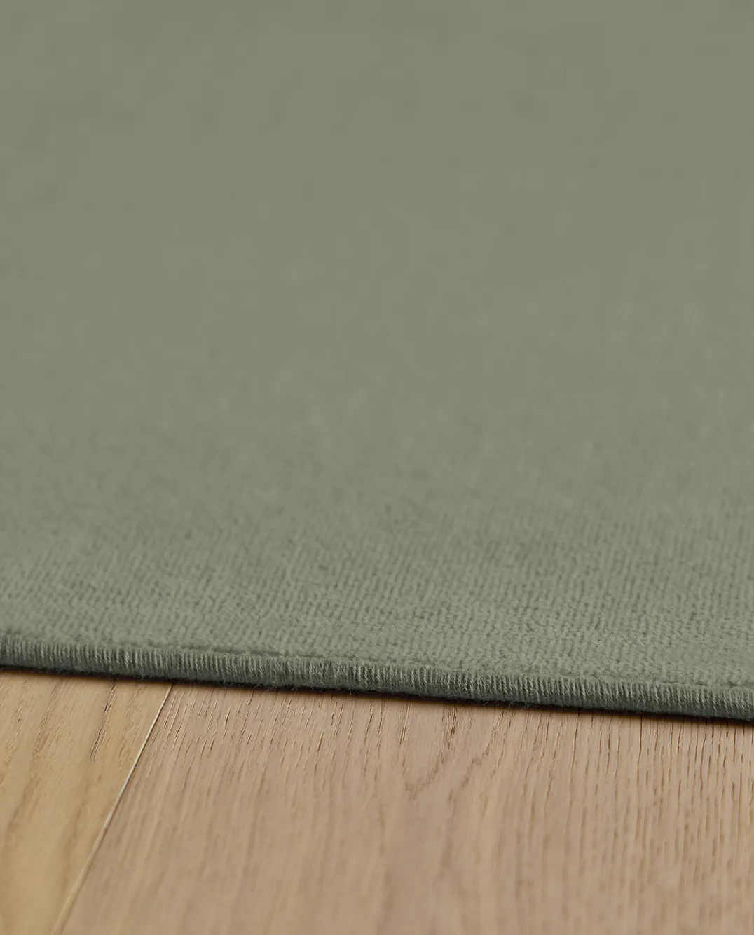 castor-sage-ambiente-001_11zon