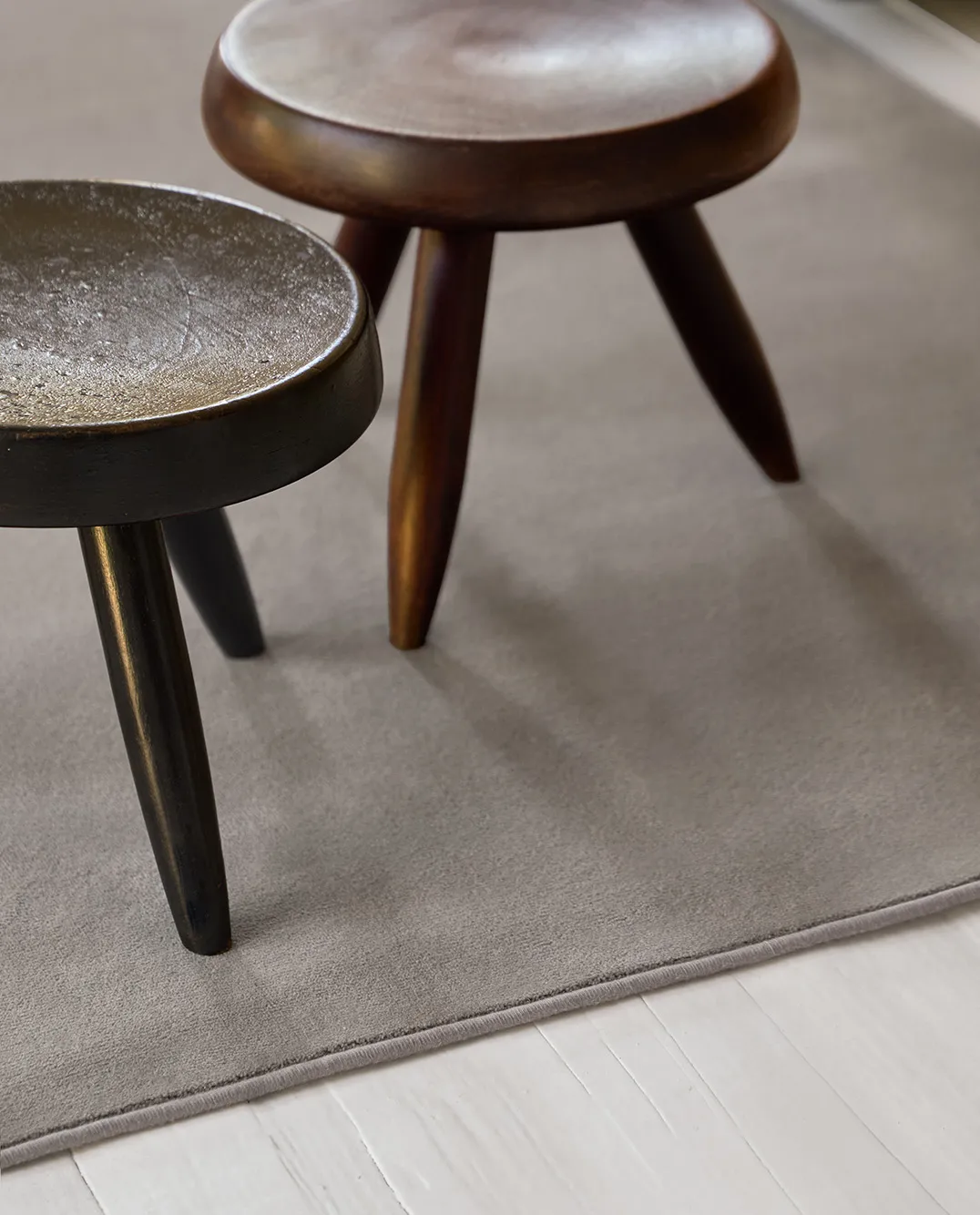 castor-silver-ambiente-003_11zon