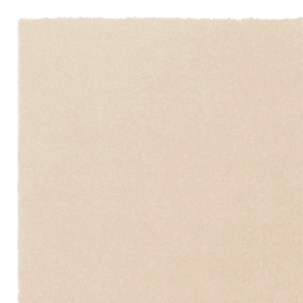 zent-nx-cream zent-nx-cream