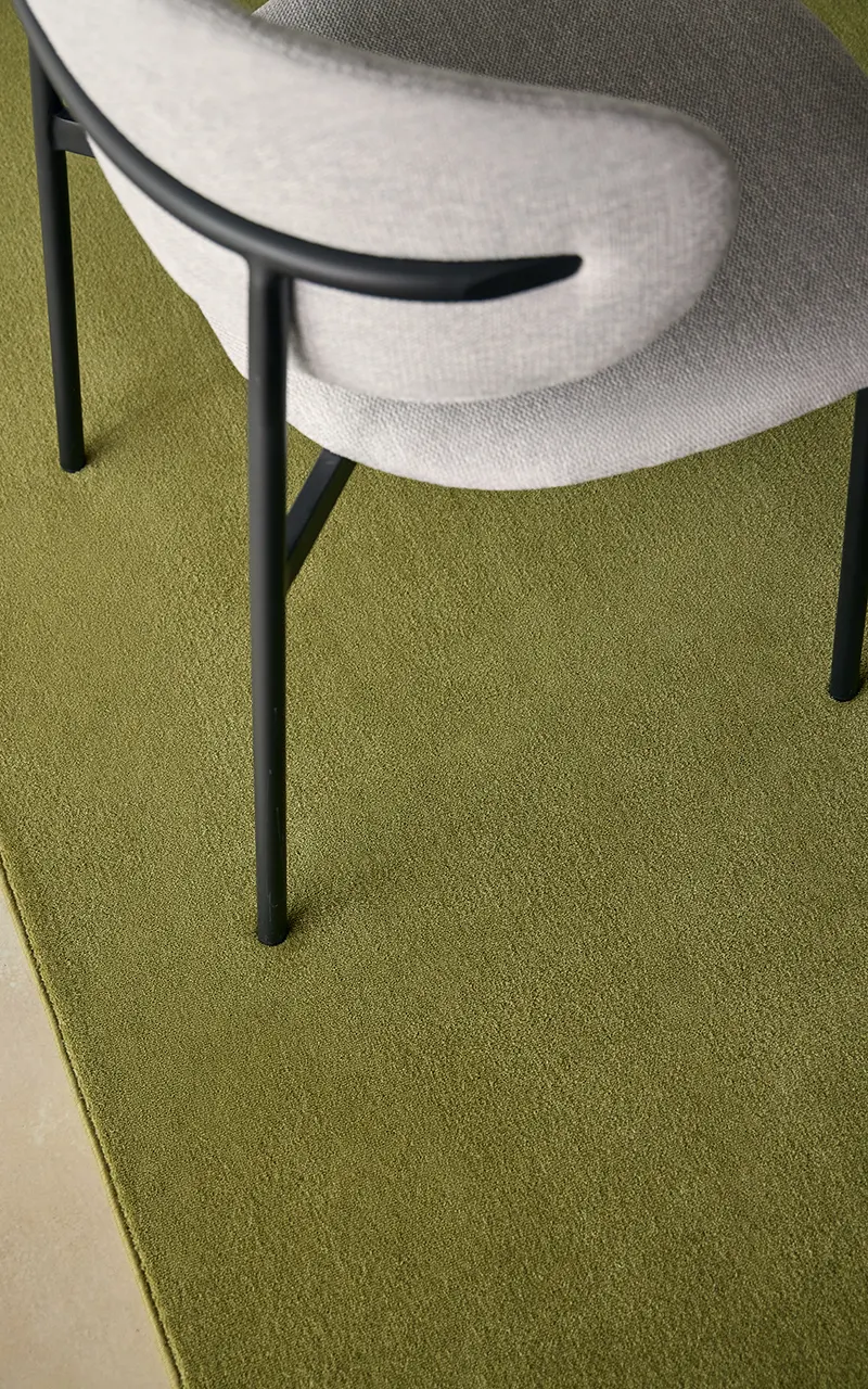 castor-plus-coleccion-detalle