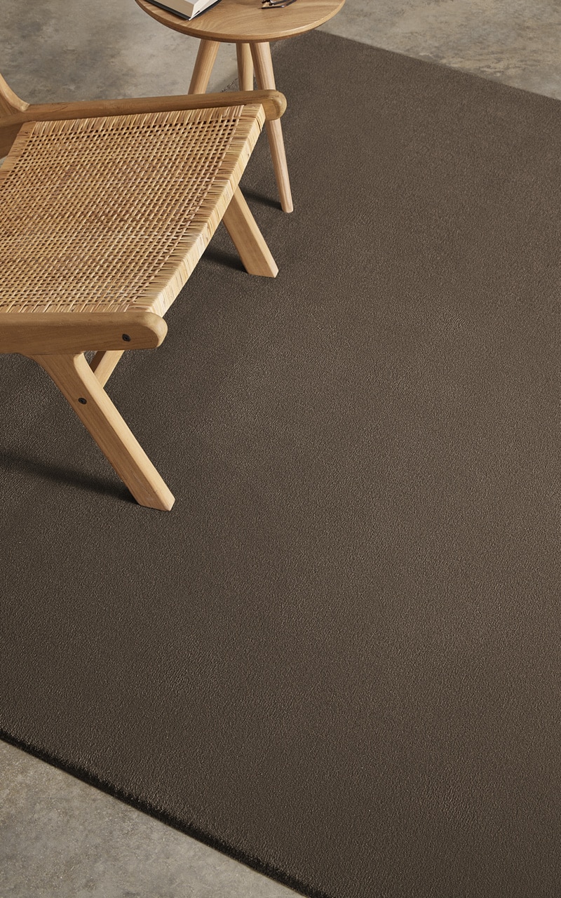 zenit+-coleccion-detalle