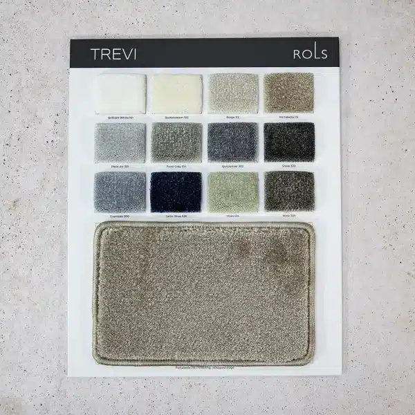 ficha-trevi-frontal ficha-trevi-frontal