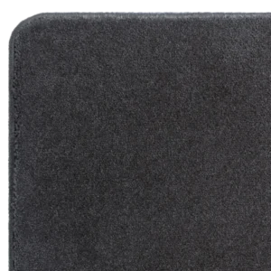castor-nx-graphite