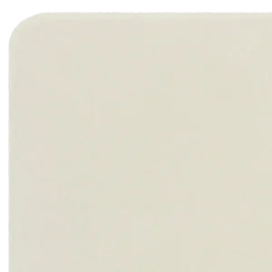 castor-nx-ivory