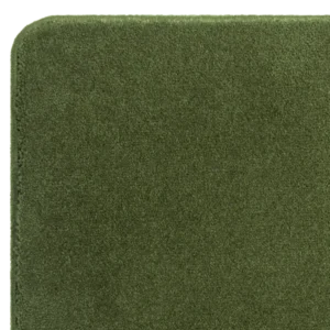 castor-nx-olive
