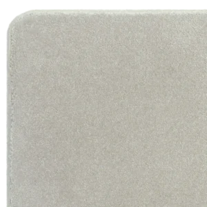 castor-nx-silver