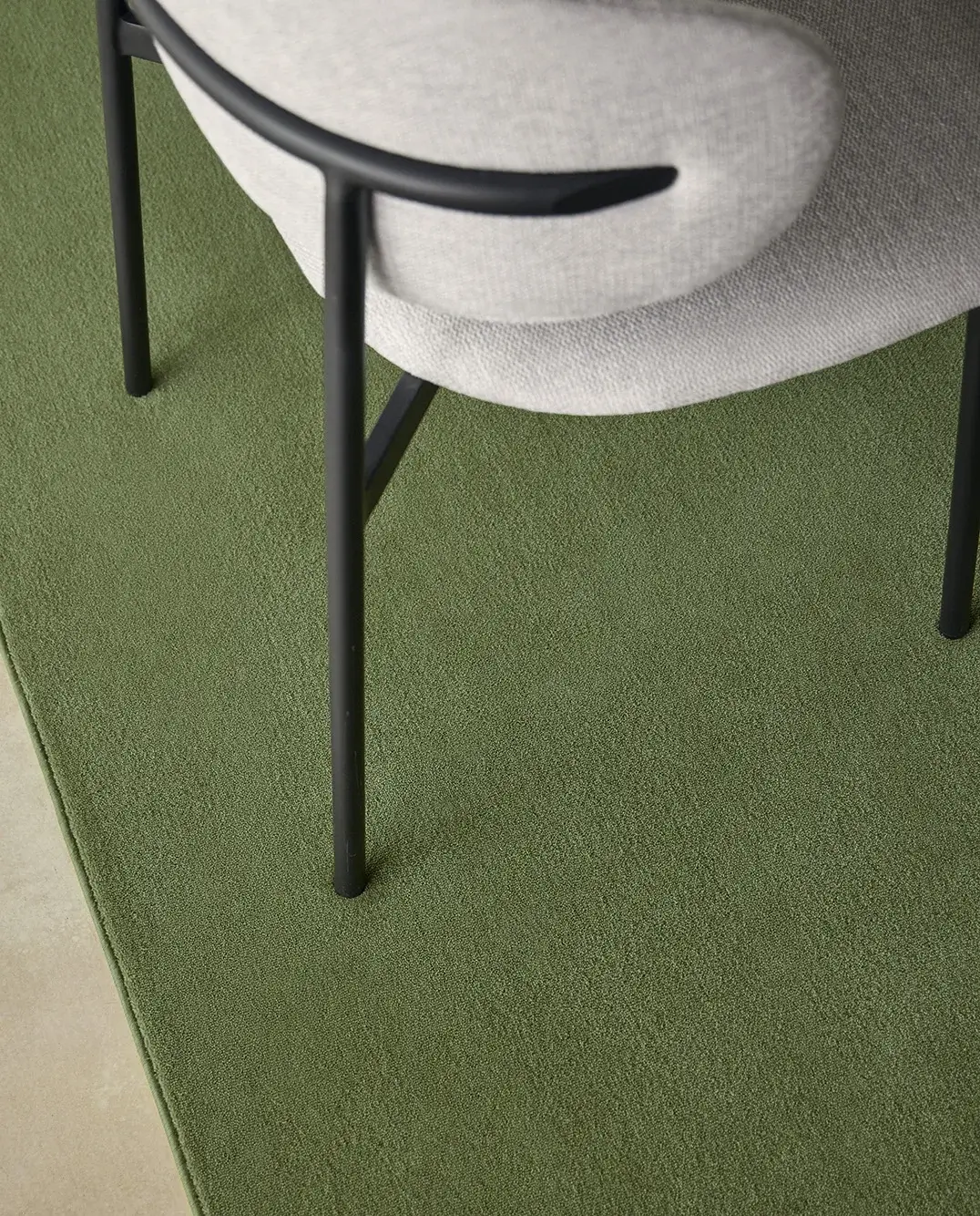castor-olive-ambiente-005 (1)